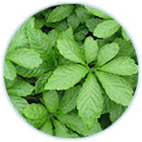 9001诚信金沙(中国)品牌公司