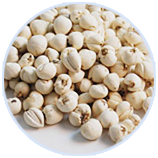 9001诚信金沙(中国)品牌公司