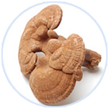 9001诚信金沙(中国)品牌公司