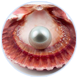 9001诚信金沙(中国)品牌公司