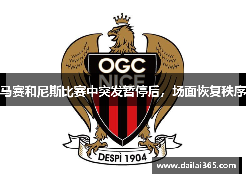 马赛和尼斯比赛中突发暂停后,场面恢复秩序
